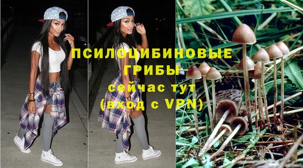 PSILOCYBIN Волосово
