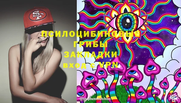 PSILOCYBIN Волосово
