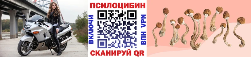 Галлюциногенные грибы мицелий  Петров Вал 
